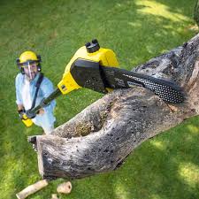 Best Pest Control for Lawns  in Knox, PA